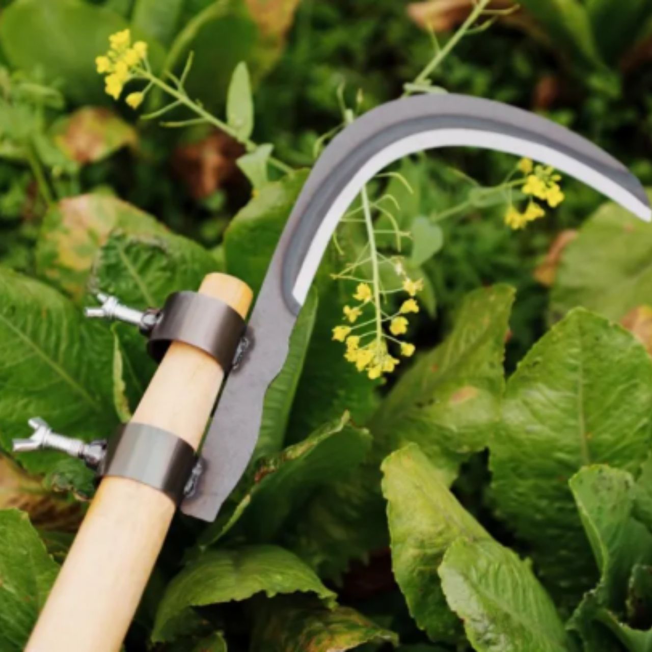 AgroTool, rezačka na konáre, burinu, tŕne a vegetáciu - Image 9