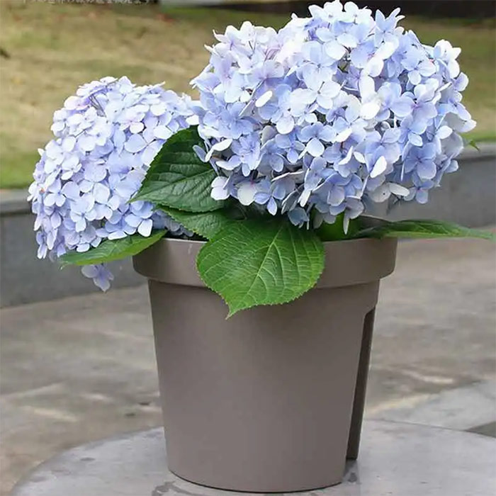 BalconyPots, kvetináče na balkón (2 kusy) - Image 4