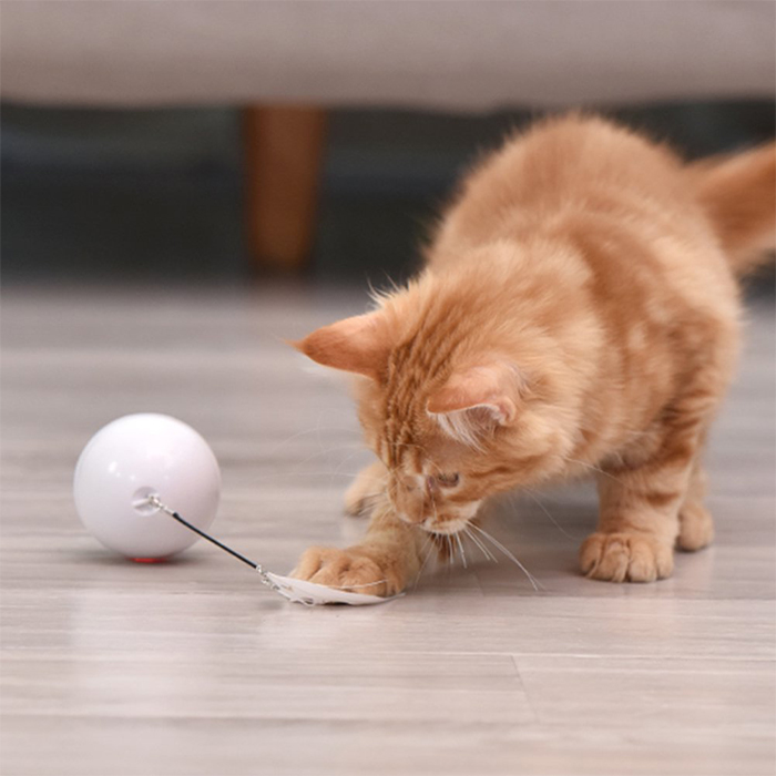 CatToy, hračka pre mačku, ktorá uteká a máva pierkom - Image 2