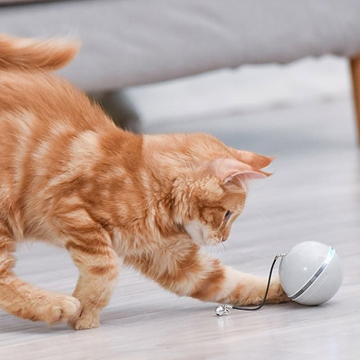 CatToy, hračka pre mačku, ktorá uteká a máva pierkom - Image 3