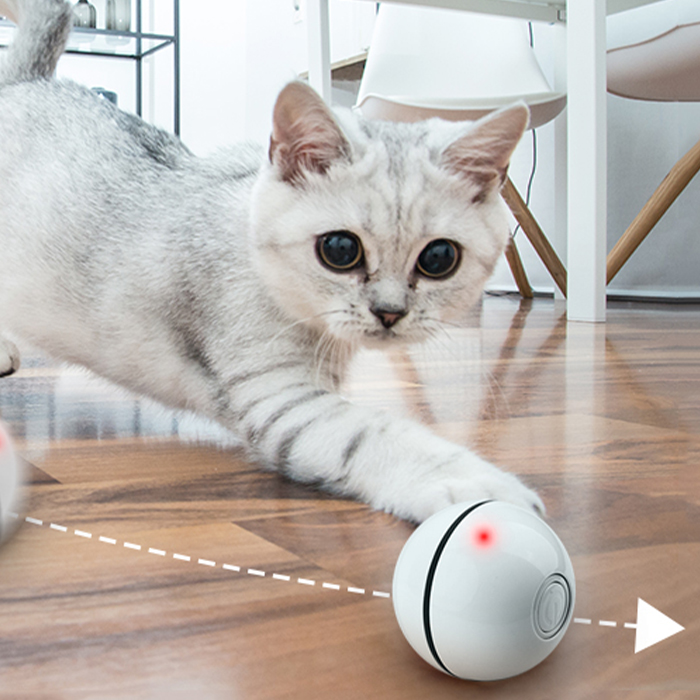 CatToy, hračka pre mačku, ktorá uteká a máva pierkom - Image 10