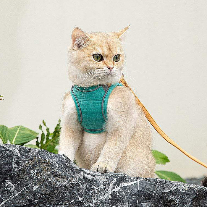 CatVest, postroj s vodítkom pre mačky - Image 3