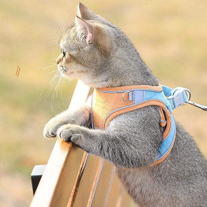 CatVest, postroj s vodítkom pre mačky - Image 4