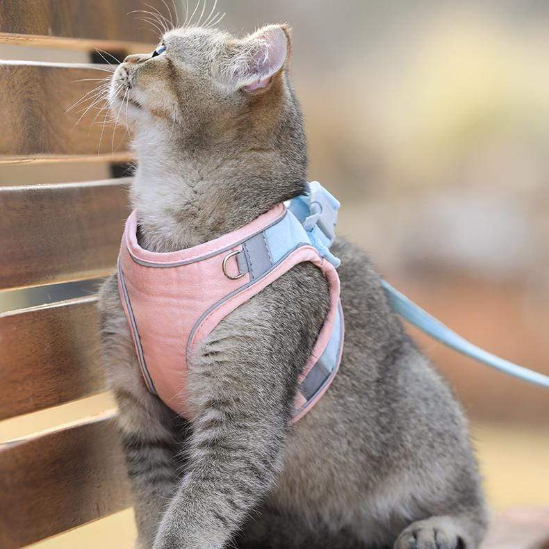 CatVest, postroj s vodítkom pre mačky - Image 5