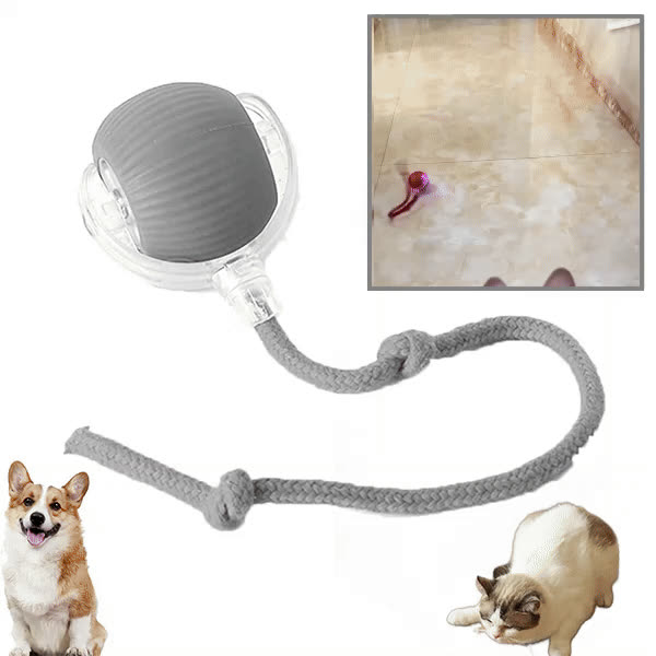 DOGTOY, ChewiePlay interaktívna loptička - video