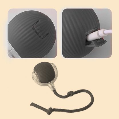 DOGTOY, ChewiePlay interaktívna loptička - Image 3