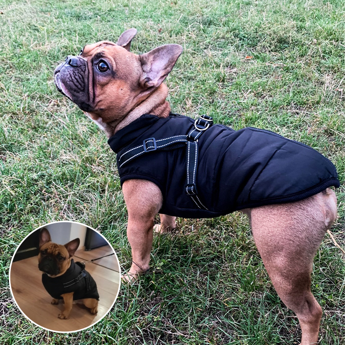 DogJacket, reflexný a nepremokavý zimný kabát pre psov - Image 6