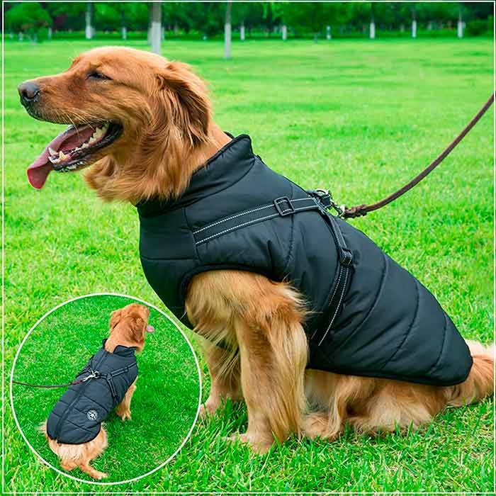 DogJacket, reflexný a nepremokavý zimný kabát pre psov - Image 10