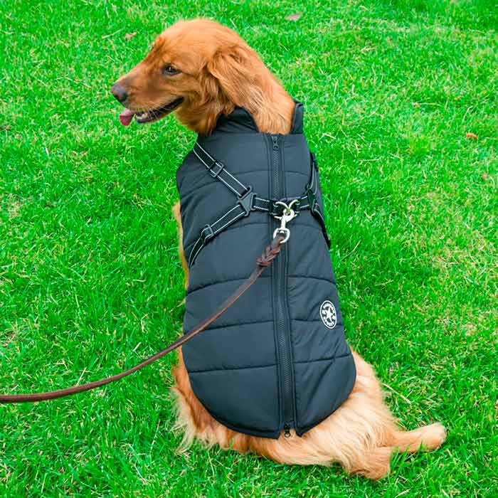 DogJacket, reflexný a nepremokavý zimný kabát pre psov - Image 11
