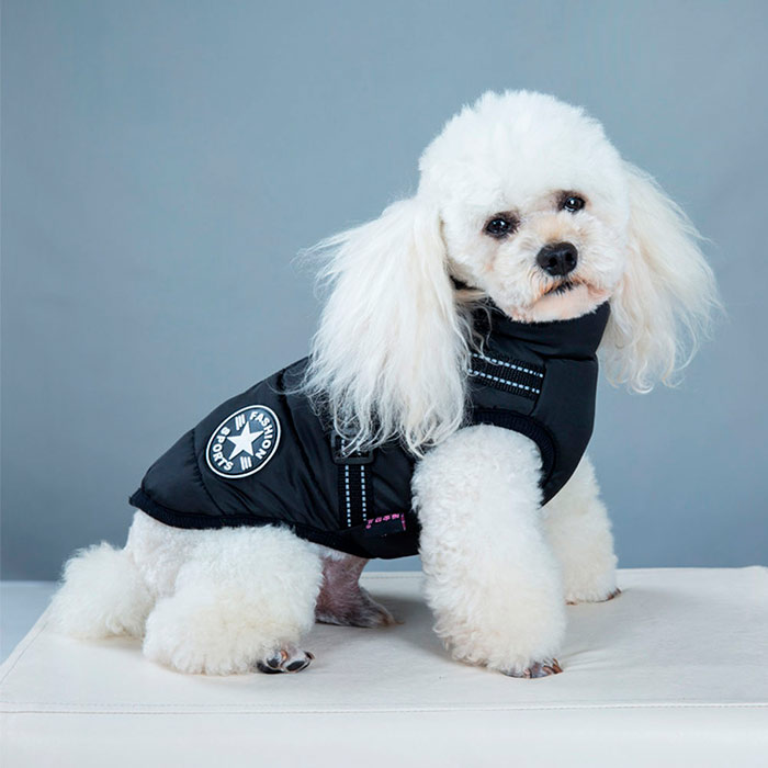 DogJacket, reflexný a nepremokavý zimný kabát pre psov - Image 15