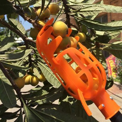 FruitBasket, FruitPicking Basket - Image 3