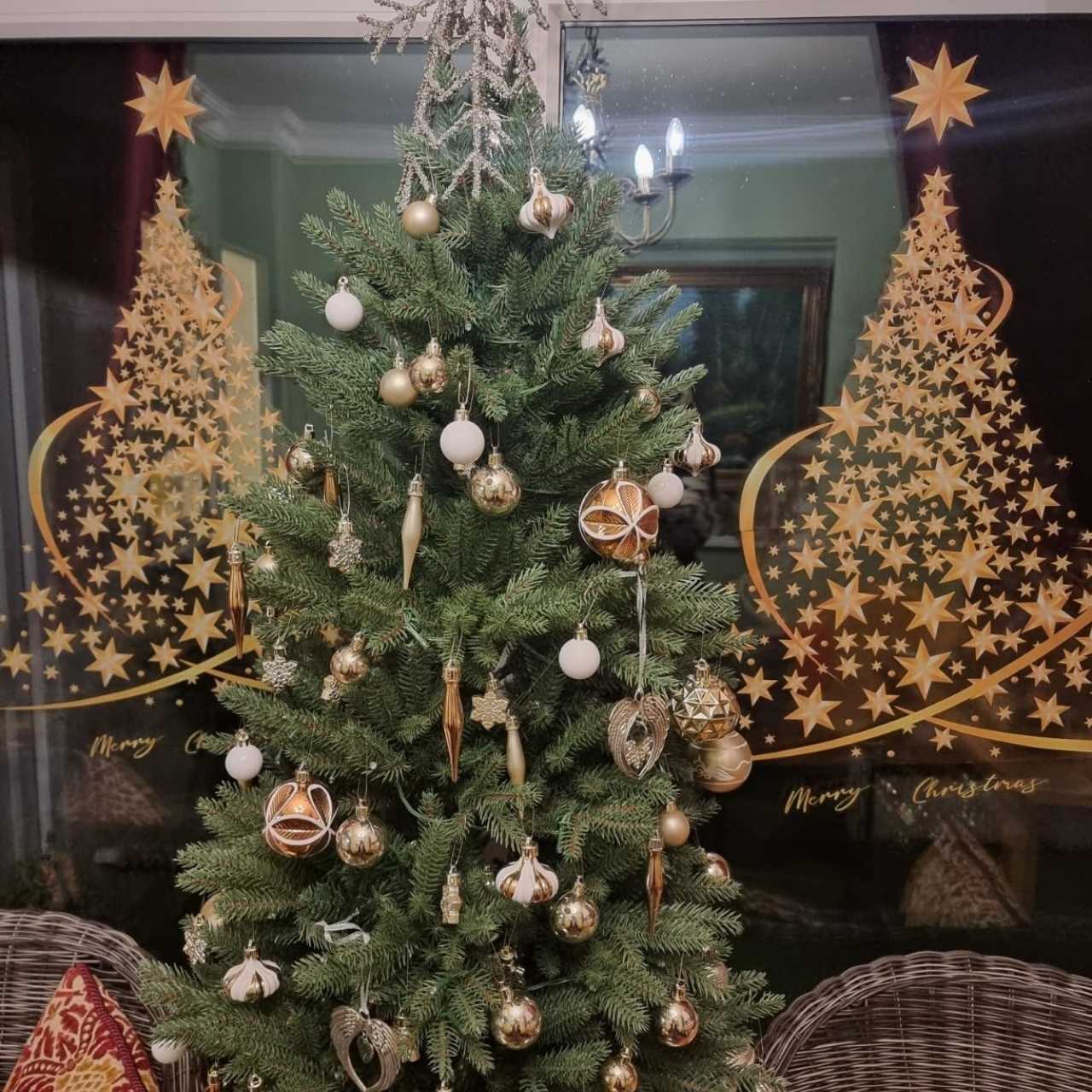 Perfektné pre každý priestor, od domova po salón