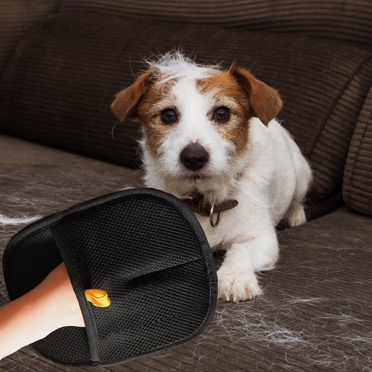 GroomyGlove, dvojstranná rukavica na úpravu zvierat - Image 8