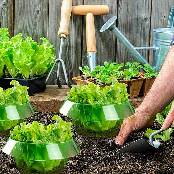 LettuceProtect, ochrana pre šalát a iné plodiny (10 kusov) - Image 6