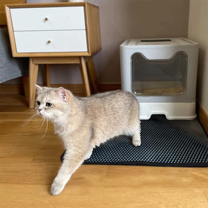 LitterMat, podložka pre mačacie stelivo, ktorá zachytáva piesok - Image 2