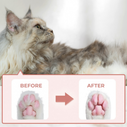 PAWTREAMER, PawPerfect Mini Zastrihávač pre Domáce Zvieratá - Image 4