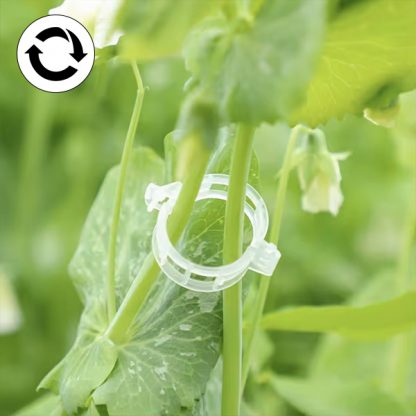 PLANTCLIP, GreenGrow Podpora pre Rastliny - 60 Sponiek - Image 4