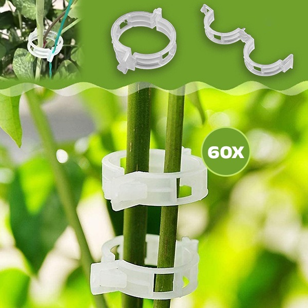 PLANTCLIP, GreenGrow Podpora pre Rastliny - 60 Sponiek - Image 5