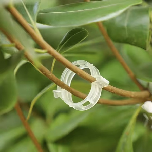 PLANTCLIP, GreenGrow Podpora pre Rastliny - 60 Sponiek - Image 6