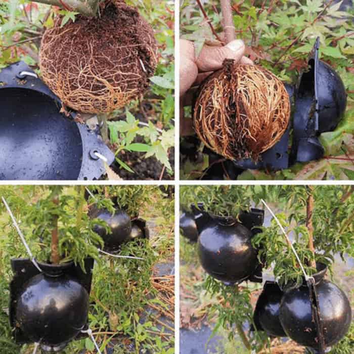 RootBall, nástroj pre úspešné klonovanie rastlín (2 ks) - Image 5