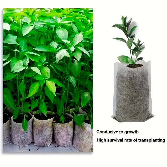 SeedBags, biodegradovateľné vrecúška na sadenie a pestovanie rastlín (100 ks) - Image 4