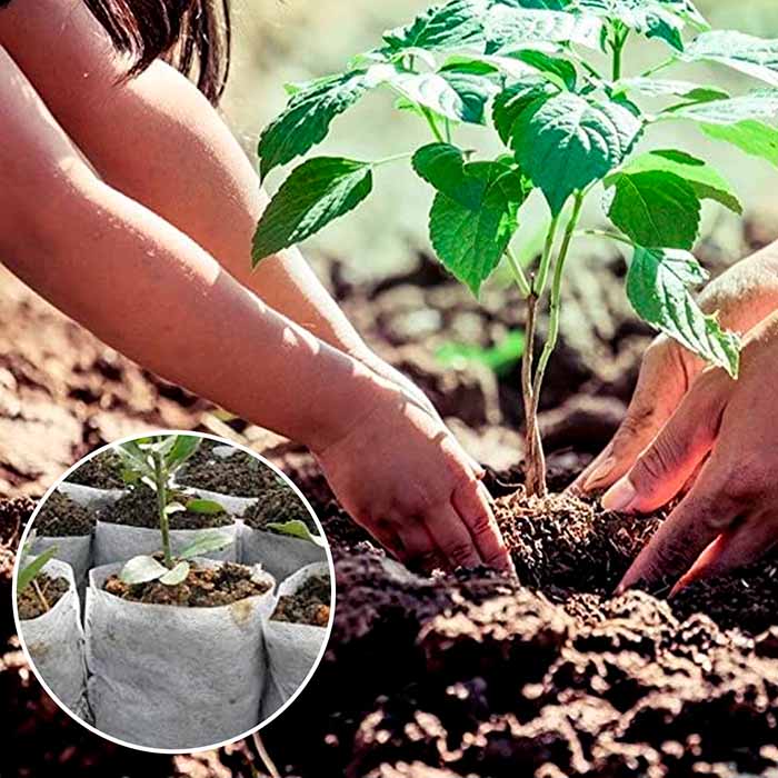 SeedBags, biodegradovateľné vrecúška na sadenie a pestovanie rastlín (100 ks) - Image 7