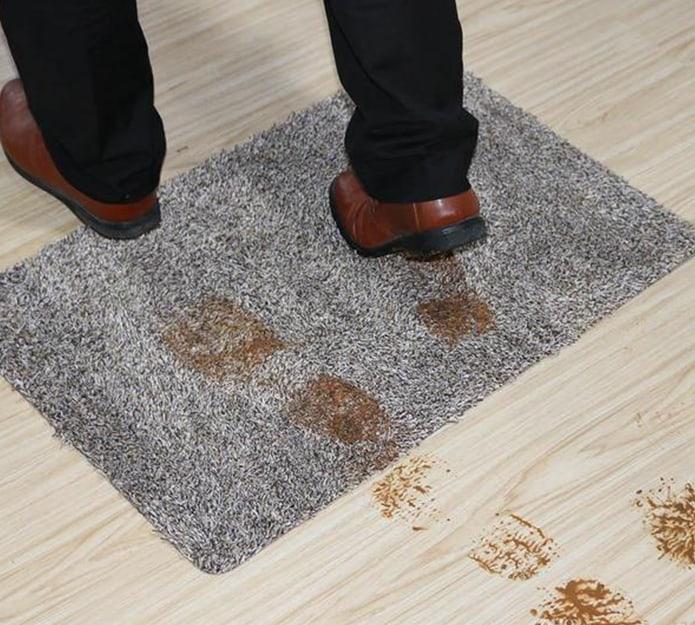 SuperStep, koberec, ktorý čistí podrážky a labky len s jedným krokom - Image 6