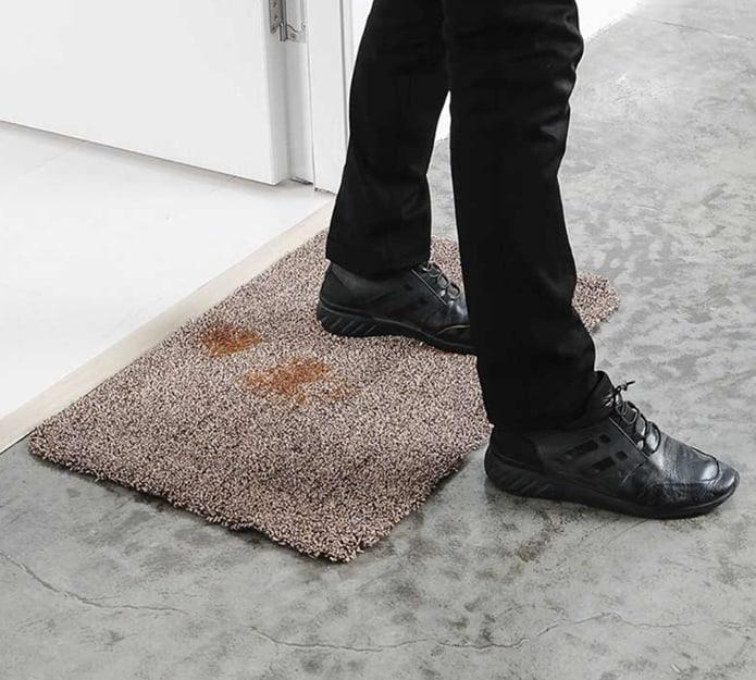 SuperStep, koberec, ktorý čistí podrážky a labky len s jedným krokom - Image 7